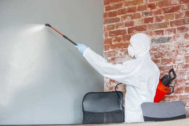 Best HVAC Mold Inspection and Cleaning  in Pine Crest, TN