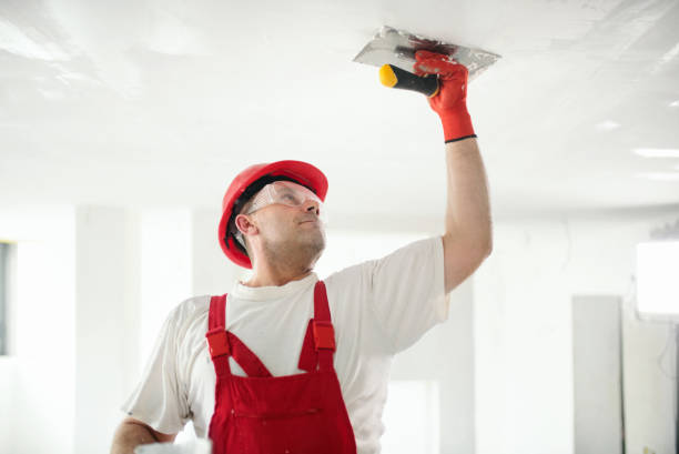 Best Mold Documentation for Insurance Claims  in Pine Crest, TN