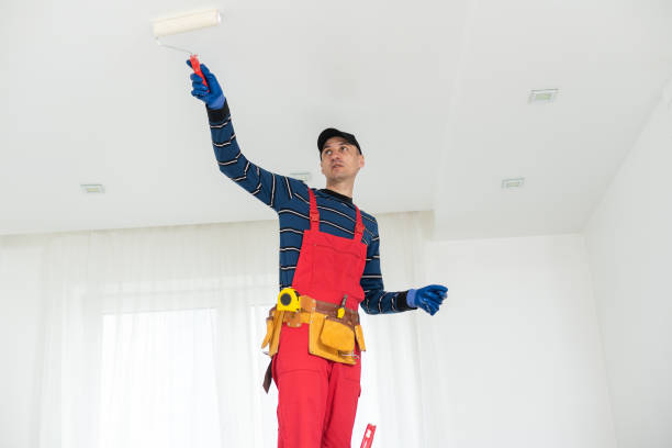 Best Mold Removal for HVAC Installations  in Pine Crest, TN