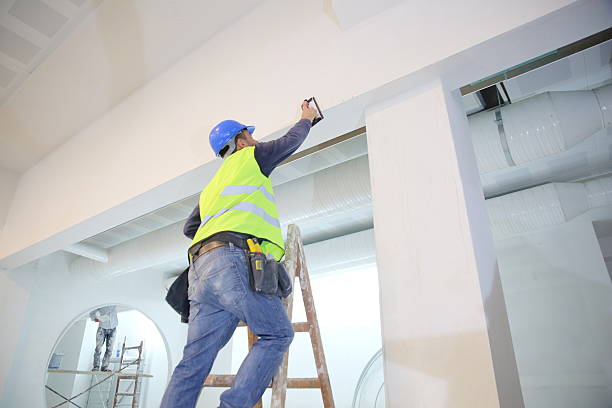 Best Post-Construction Mold Inspection  in Pine Crest, TN