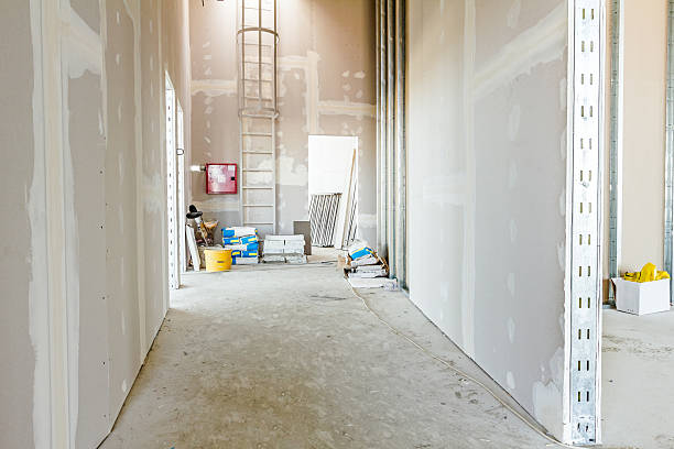 Best Attic Mold Removal  in Pine Crest, TN